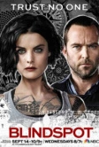 Слепая зона (2015)